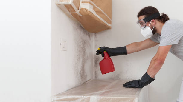 Attic Mold Remediation treatment on roof deck in Wayland