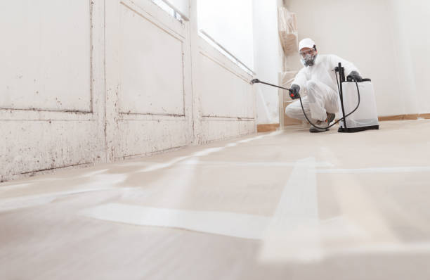 Post-remediation clearance in Wayland